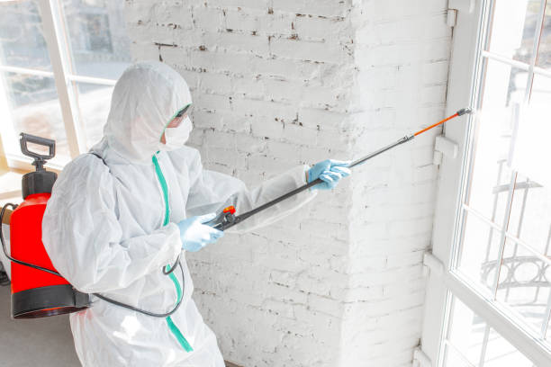 Best Asbestos and Lead Testing During Mold Inspection  in USA